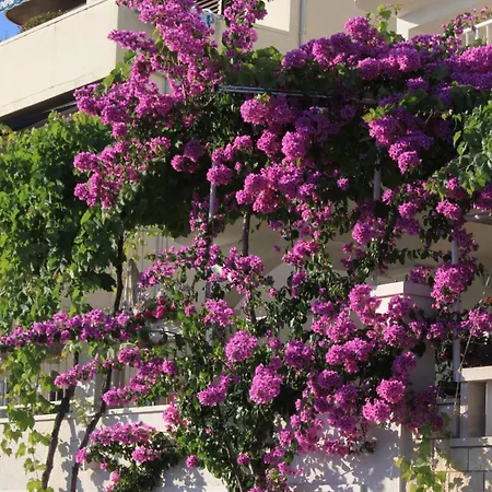 By The Sea Podgora, Makarska - 6596 Daire *